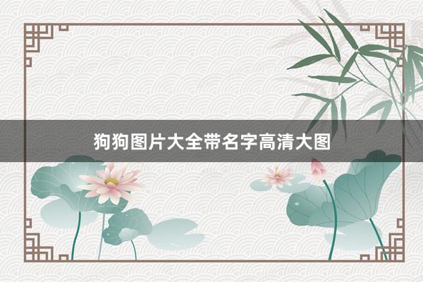 狗狗图片大全带名字高清大图